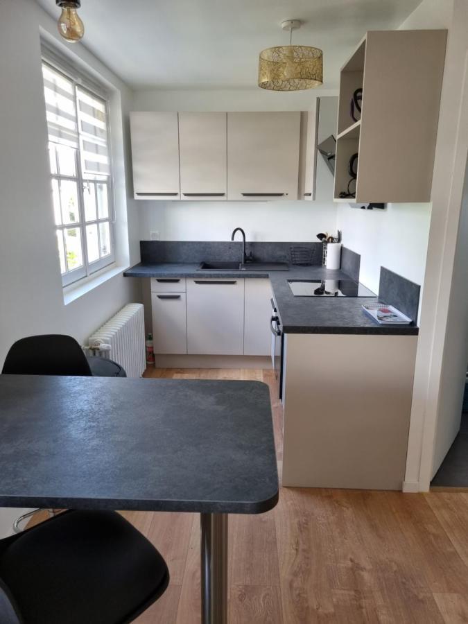 Location Saisonniere Appartement Situe A 索米尔 外观 照片