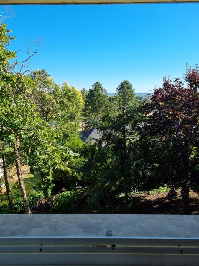 Location Saisonniere Appartement Situe A 索米尔 外观 照片